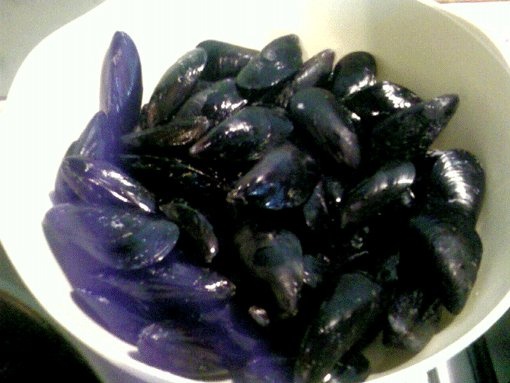 Saute de scoici negre