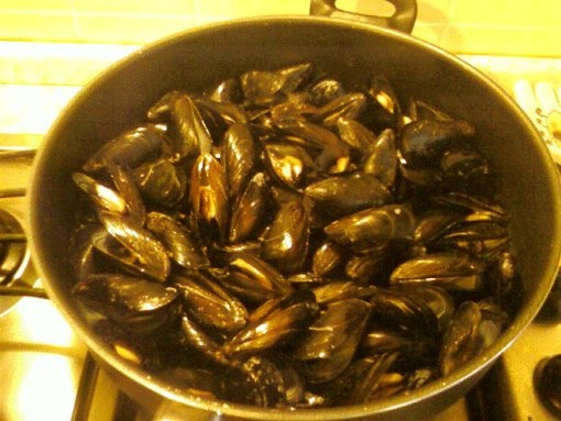 Saute de scoici negre