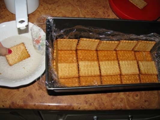 Prajitura din pudding cu biscuiti