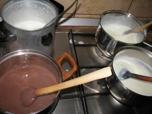 Prajitura din pudding cu biscuiti