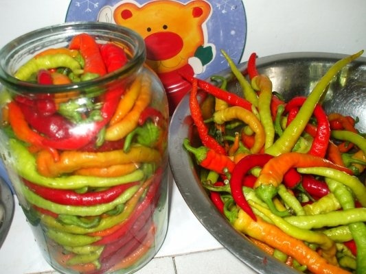 Ardei peperoni in otet