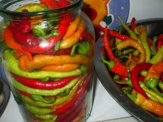 Ardei peperoni in otet