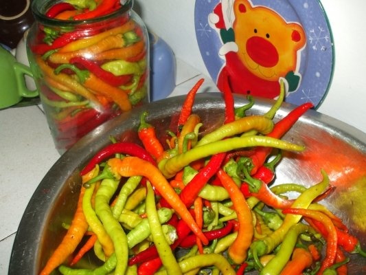 Ardei peperoni in otet