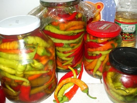 Ardei peperoni in otet