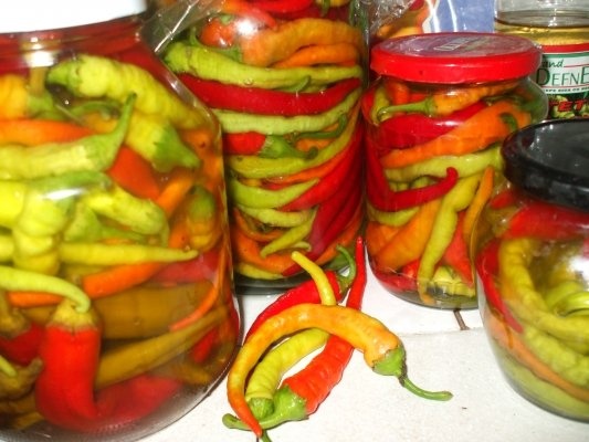 Ardei peperoni in otet