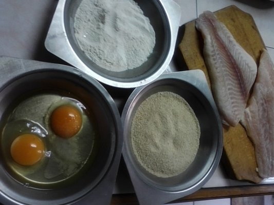 PANGASIUS  PANE