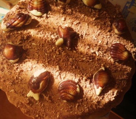 Tort Nisipurile Aurii