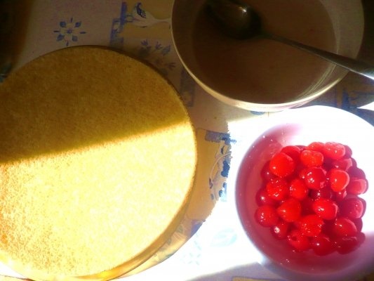 Tort Nisipurile Aurii