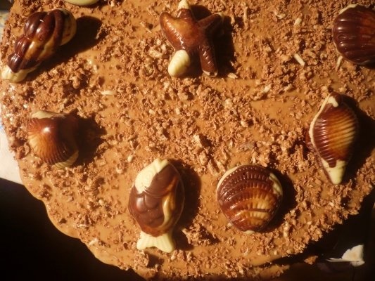 Tort Nisipurile Aurii