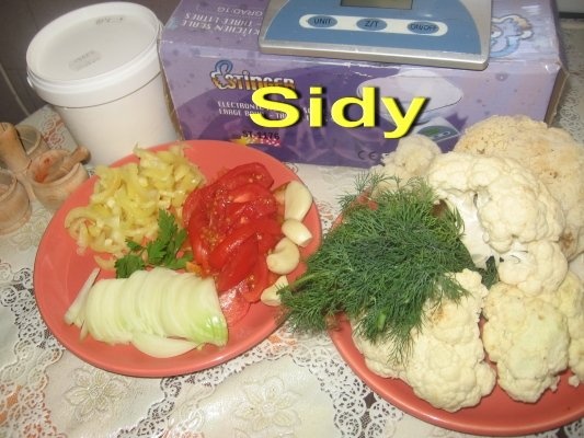 Conopida cu smantana