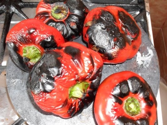 GOGOSARI PT CONGELATOR.