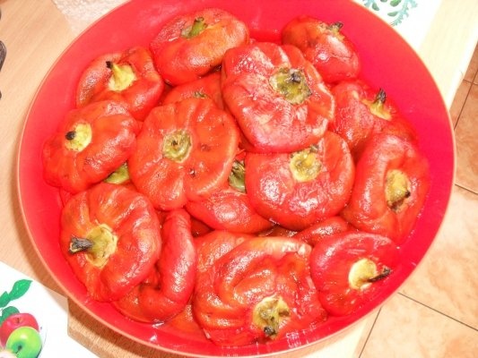 GOGOSARI PT CONGELATOR.