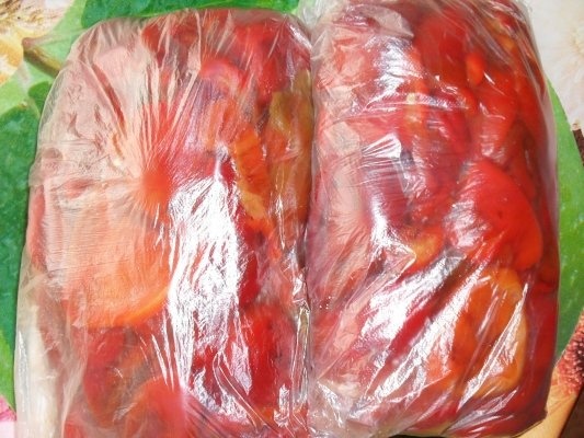 GOGOSARI PT CONGELATOR.