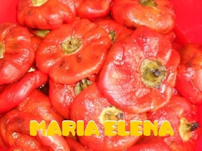 GOGOSARI PT CONGELATOR.