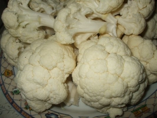 Conopida natur gratinata cu usturoi