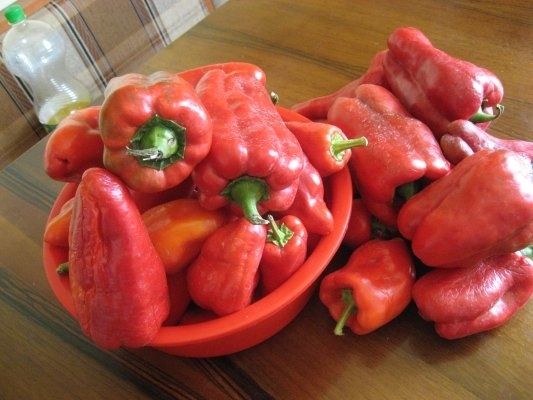 Ardei pentru friptura