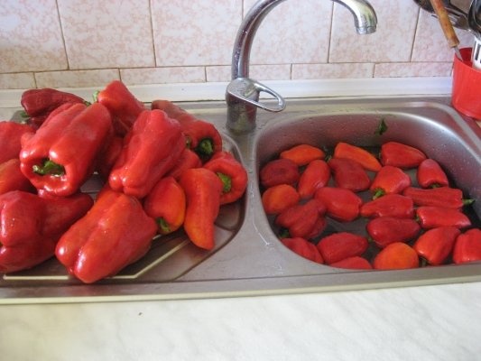 Ardei pentru friptura