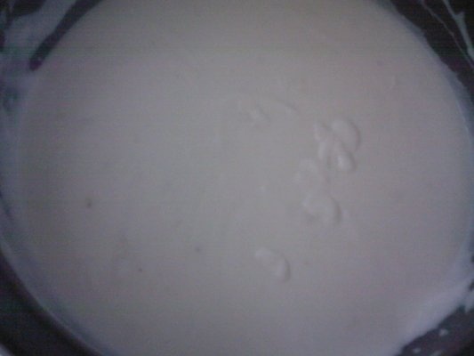 Paste cu sos Bechamell