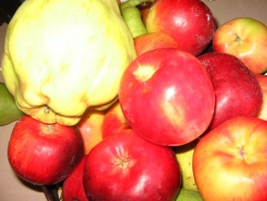 Placinta cu mere si gutui