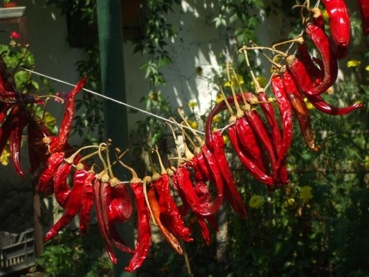 Ardei iuti deshidratati macinati