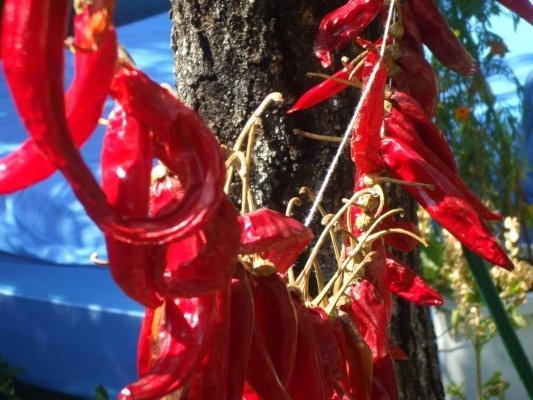 Ardei iuti deshidratati macinati