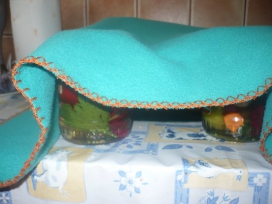 Muraturi asortate cu ghimbir