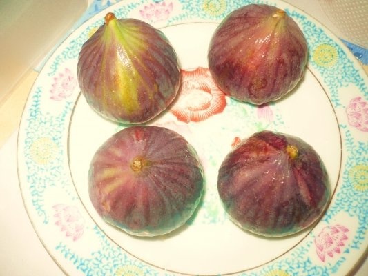 Minitarte cu smochine si ghimbir