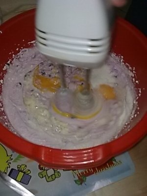 Placinta cu branza de vaci si afine