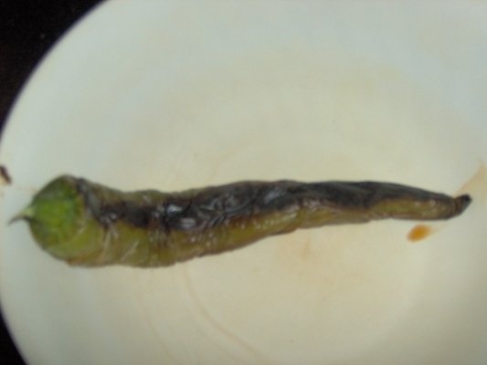 Salata de vinata picanta