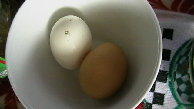 SUPA CREMA DE DOVLECEI CU CRUTOANE