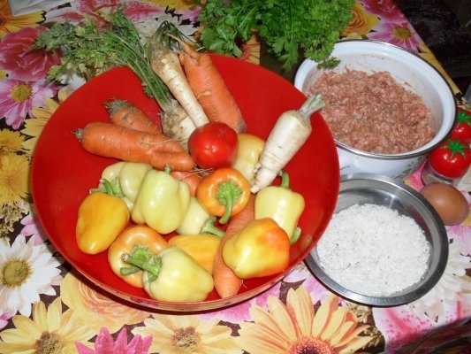 CIORBA DE ARDEI UMPLUT