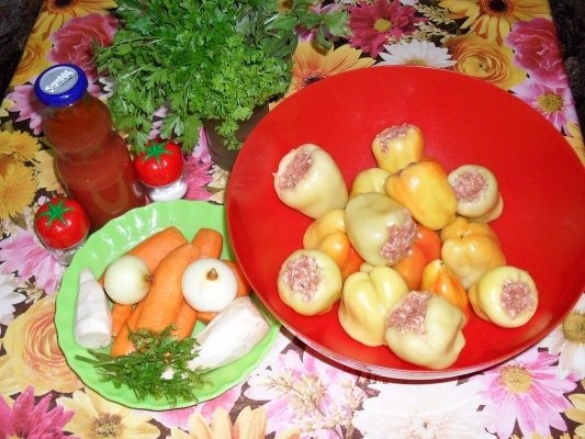 CIORBA DE ARDEI UMPLUT