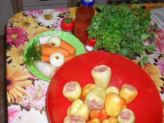 CIORBA DE ARDEI UMPLUT