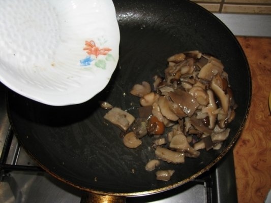 Stroganoff de ciuperci cu tarhon