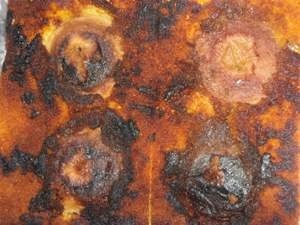 Prajitura cu mere intregi umplute cu stafide sau nuca macinata