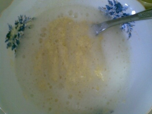 SUPA DE PUI CU GALUSTE DE GRIS