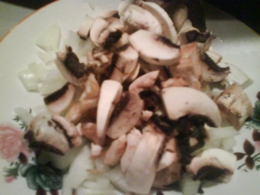 FICATEI DE PUI CU SOS VANATORESC