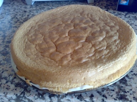 Pandispan cu crema de branza