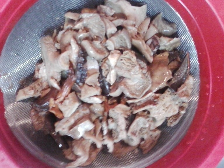 Tocanita de ciuperci uscate