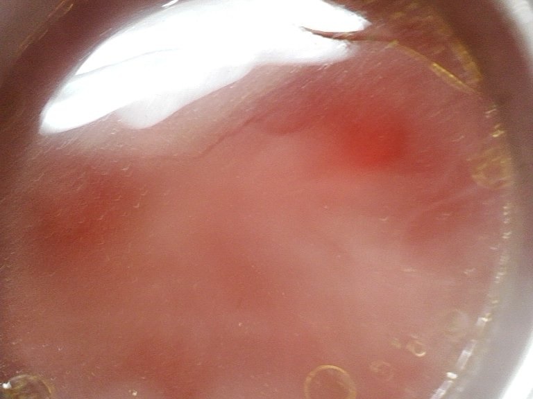 Bors de sfecla cu urechiuse