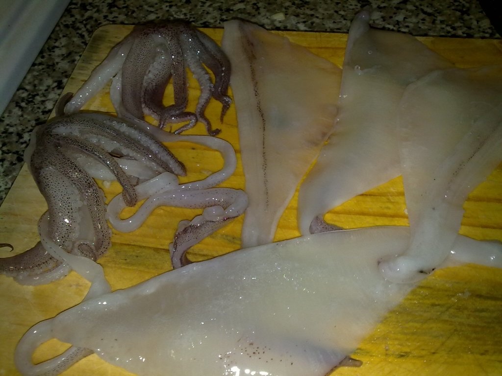 calamari umpluti