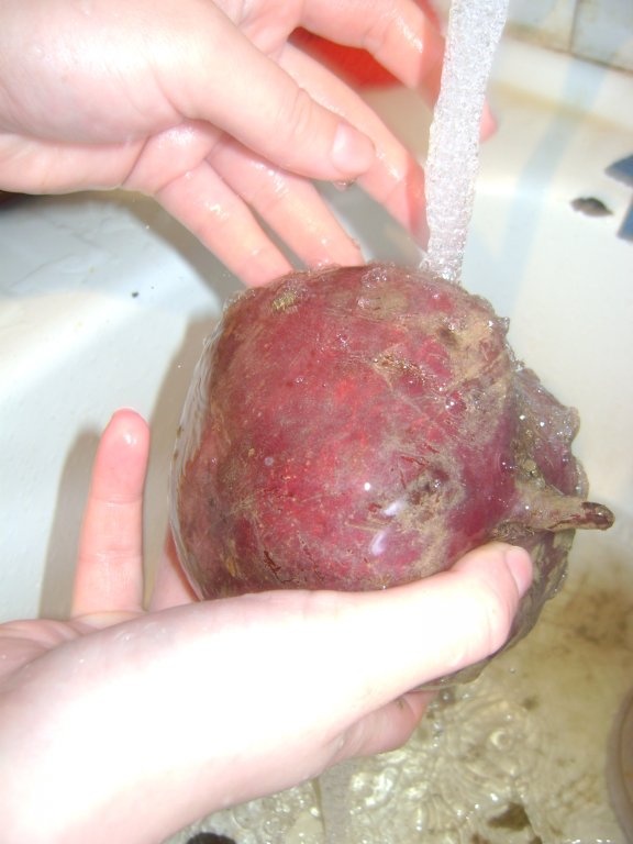 Salata de sfecla by copilou