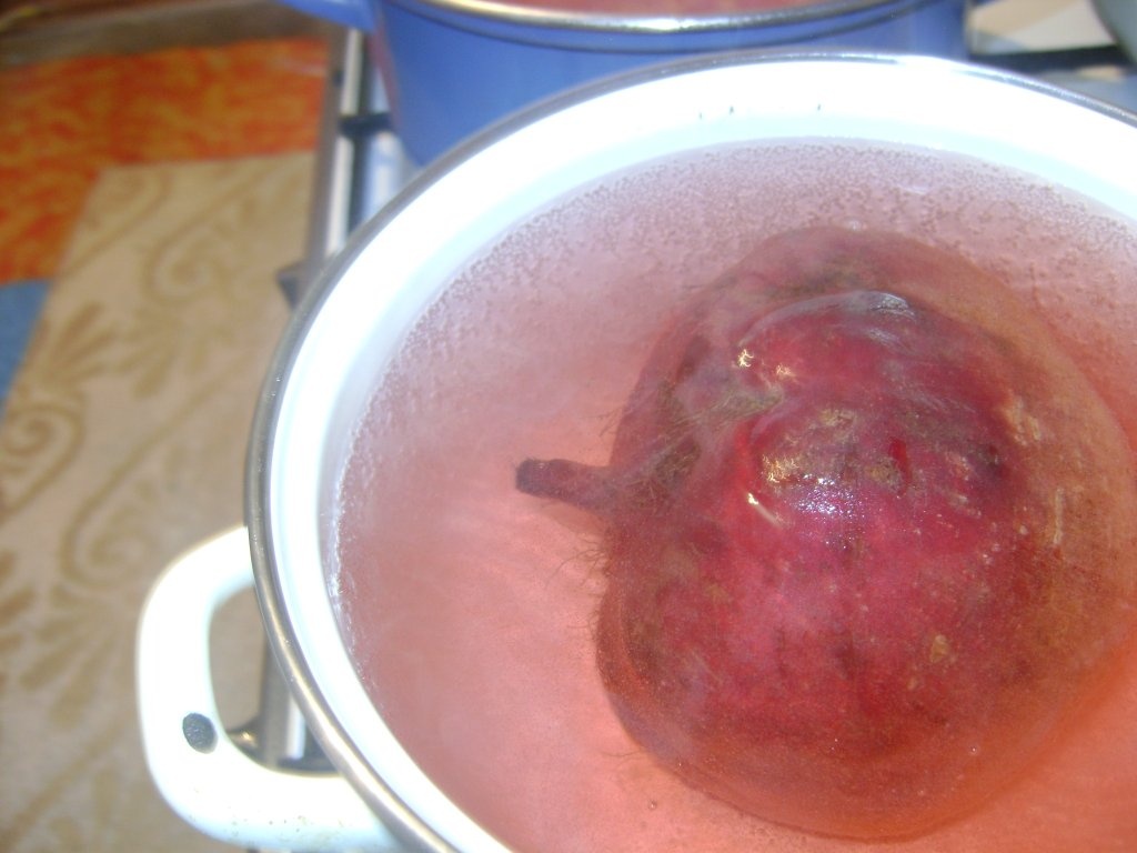 Salata de sfecla by copilou