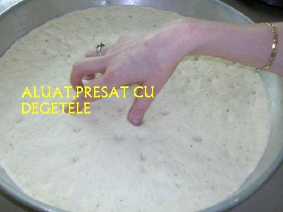 Pizza  a la Camelia(de 2 feluri)