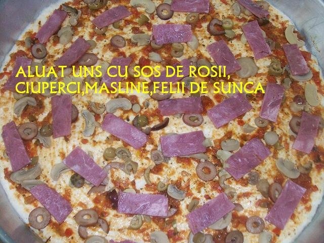 Pizza  a la Camelia(de 2 feluri)