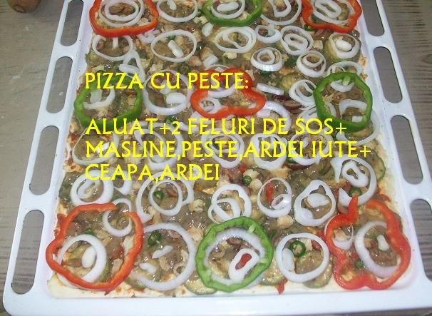 Pizza  a la Camelia(de 2 feluri)