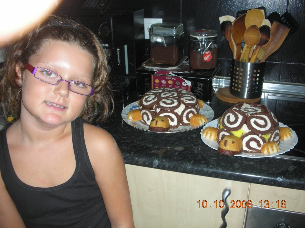 Tort Broscuta testoasa