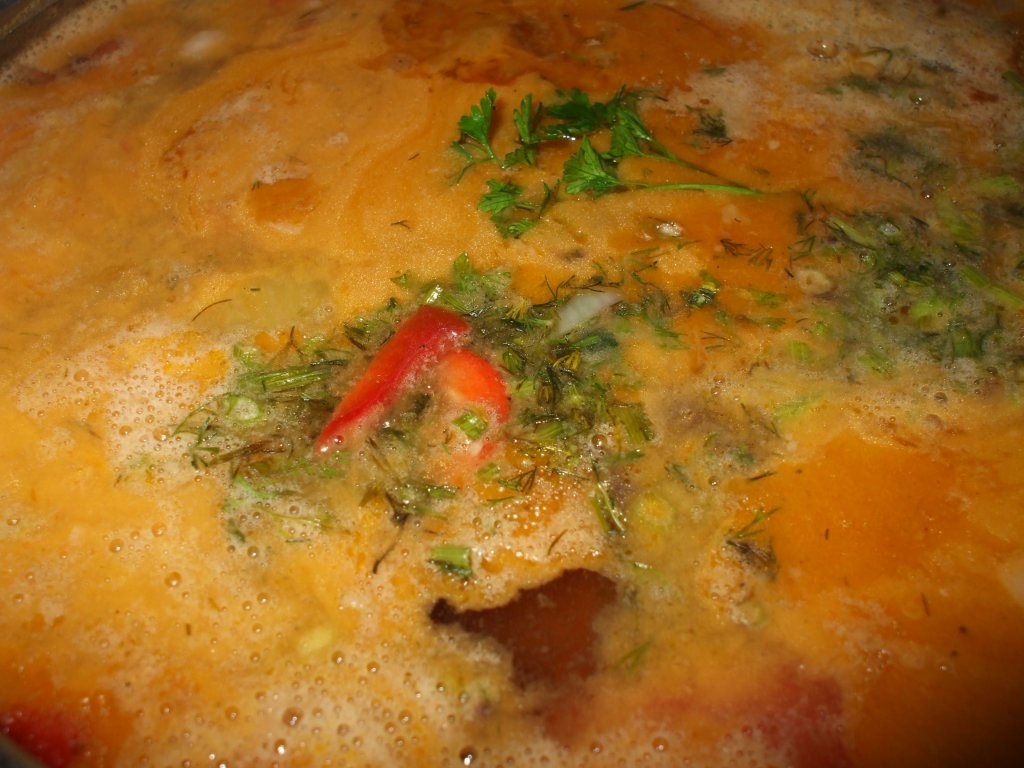 Ciorba de fasole uscata combinata, cu ciolan afumat