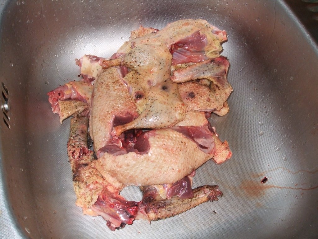 Rata salbatica cu varza