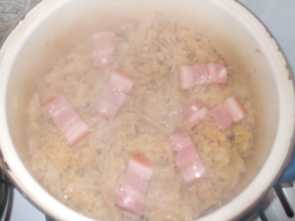 Rata salbatica cu varza